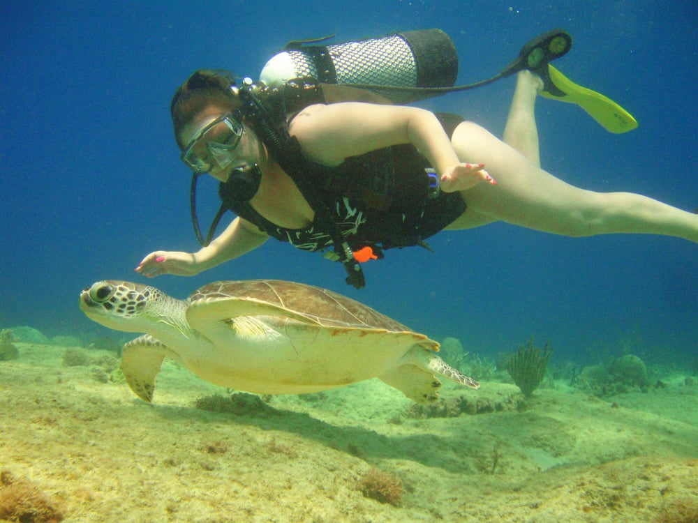 PUERTO RICO TECHNICAL DIVING CENTER Updated October 2024 PR107, Dr