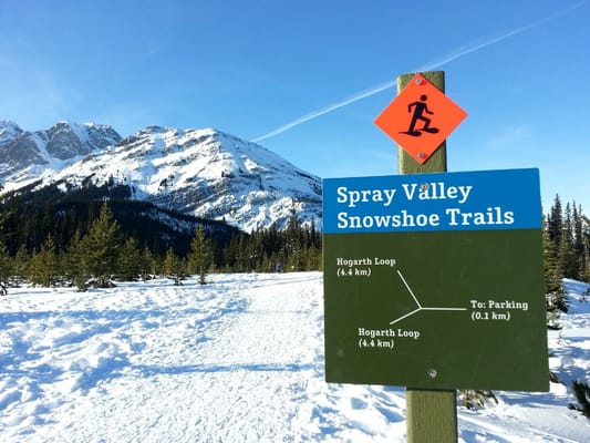 Peter Lougheed Provincial Park by null