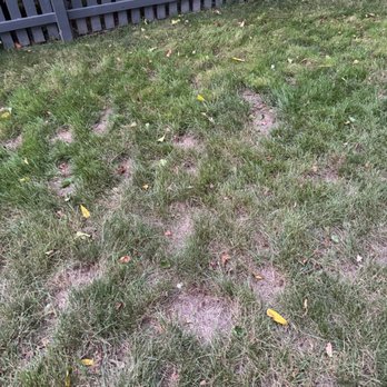 TruGreen Lawn Care - Tree Services Near Me - Albany, New York TruGreen Lawn Care - Tree Services Near Me - Albany, New York