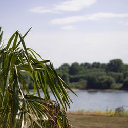 Strandbar Leverkusen