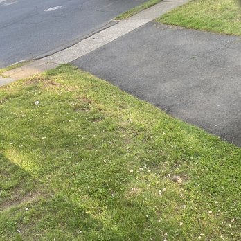 Natural Art Landscaping - My right side neighbor lawn got cleaned and all the crap got blown to my yard. - Landscaping Near Me - Englewood, New Jersey