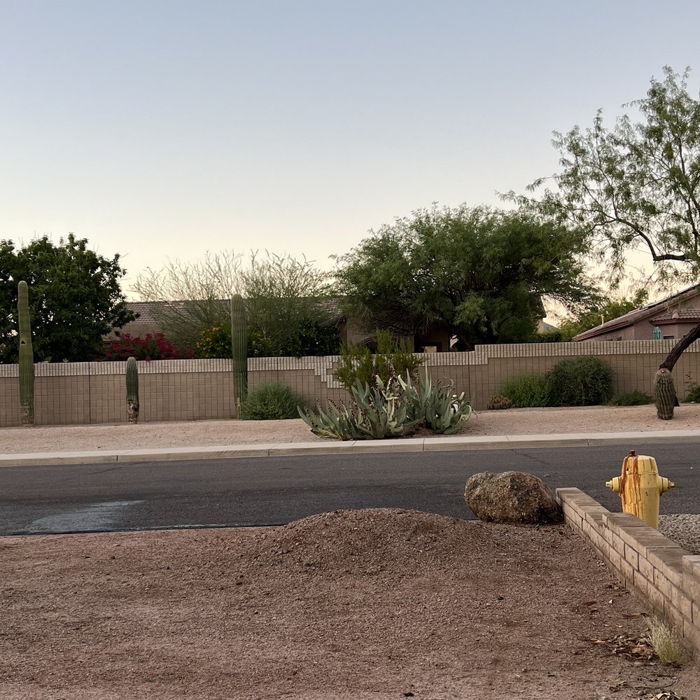 AZ Cactus Experts - What Saguaro? They did a great job cleaning up! - Landscaping Near Me AZ Cactus Experts - What Saguaro? They did a great job cleaning up! - Landscaping Near Me