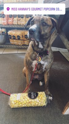 Miss Hannahs Gourmet Popcorn by null