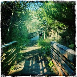 Sunset Beach State Recreational Site - walk from the trailhead