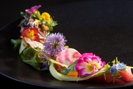 Hôtel de l'Image by null