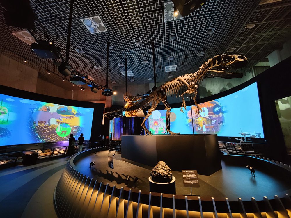 National Museum of Nature and Science