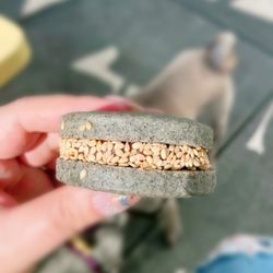 user provided Breadbelly photo