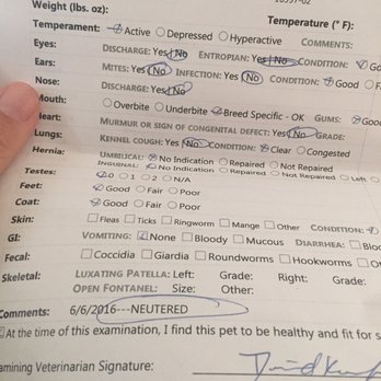 Petland Chicago Batavia - Their vet said he was neutered and so did they. Bad vet! - Pet Stores Near Me - Batavia, Illinois Petland Chicago Batavia - Their vet said he was neutered and so did they. Bad vet! - Pet Stores Near Me - Batavia, Illinois