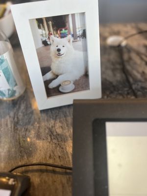 Caffe Luxxe by null