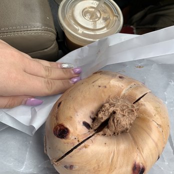Toasted Gourmet Bagels - Blueberry bagel with Nutella cream cheese, iced coffee with Cinnabon creamer - Bagels Near Me - East Meadow, New York Toasted Gourmet Bagels - Blueberry bagel with Nutella cream cheese, iced coffee with Cinnabon creamer - Bagels Near Me - East Meadow, New York