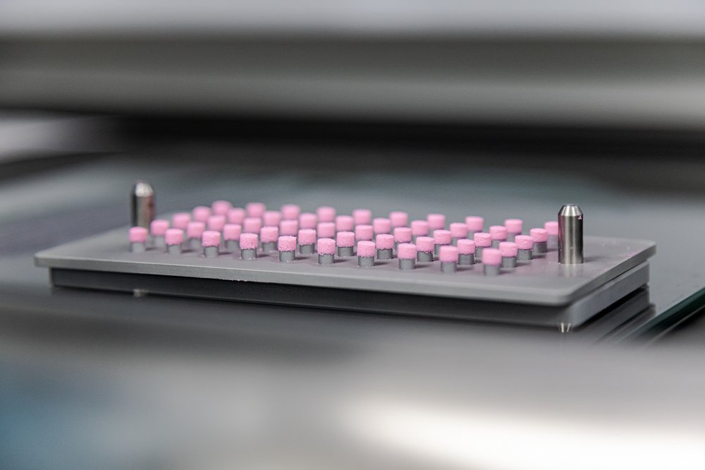 BEST PET RX Updated September 2024 15 Photos & 84 Reviews 207 E