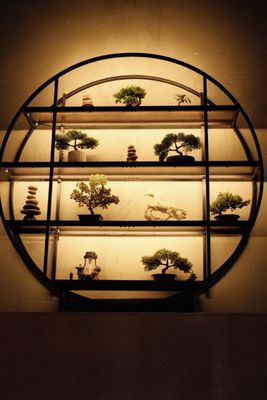 Bonsai Coffee & Bar by null