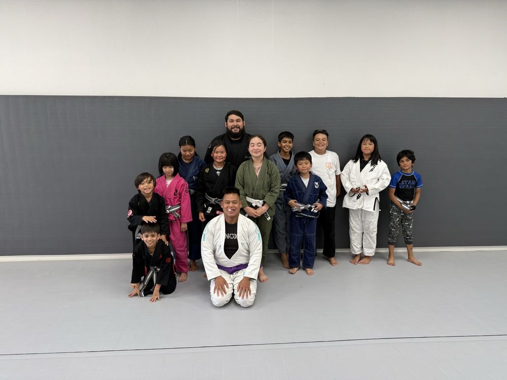 Baem Jiu Jitsu Logo