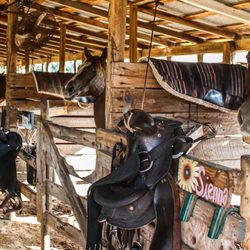 Circle F Dude Ranch Camp - Circle F Barn