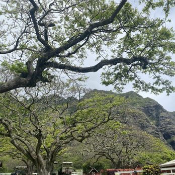 Kualoa Ranch - Tours Near Me - Kaneohe, Hawaii Kualoa Ranch - Tours Near Me - Kaneohe, Hawaii