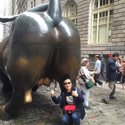 An idiot touching the wrong end of the bull on Wall Street An idiot touching the wrong end of the bull on Wall Street