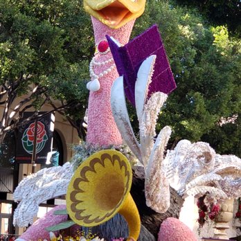 Rose Parade Route - I went by myself got there about 8:00 a.m. and didn't have any trouble finding a front row tree to stand in front of and get great photos - Festivals Near Me - Pasadena, California