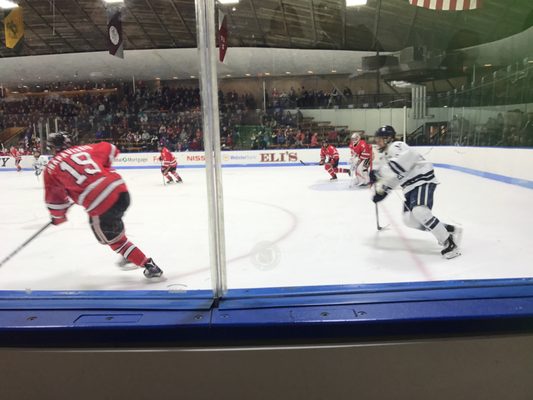 Ingalls Ice Rink by null