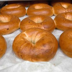 The Bagel Shack - Had a T-street with avocado. It was more then amazing. So happy The Bagel Shack is here!