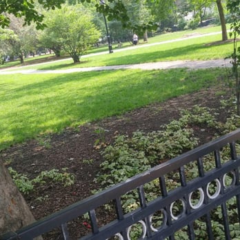 Chicago Pet Sitters - Andrew even takes Roger to go watch squirrels in the park! - Dog Walkers Near Me Chicago Pet Sitters - Andrew even takes Roger to go watch squirrels in the park! - Dog Walkers Near Me