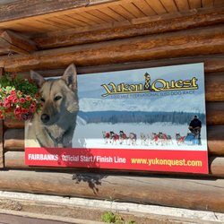 Yukon Quest Intl - End of the road for the Yukon Quest sled dog race!