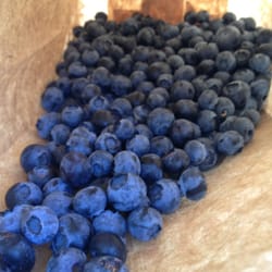 Presley Family Farms - Mmmhmm