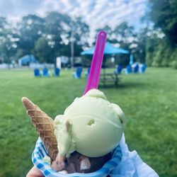 Gemelli Gelato