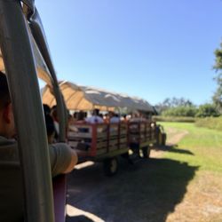 The tractor/hay ride
