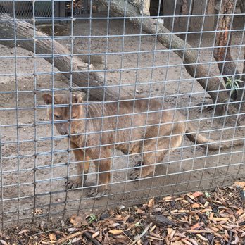 Central Coast Zoo - Zoos Near Me - Atascadero, California Central Coast Zoo - Zoos Near Me - Atascadero, California