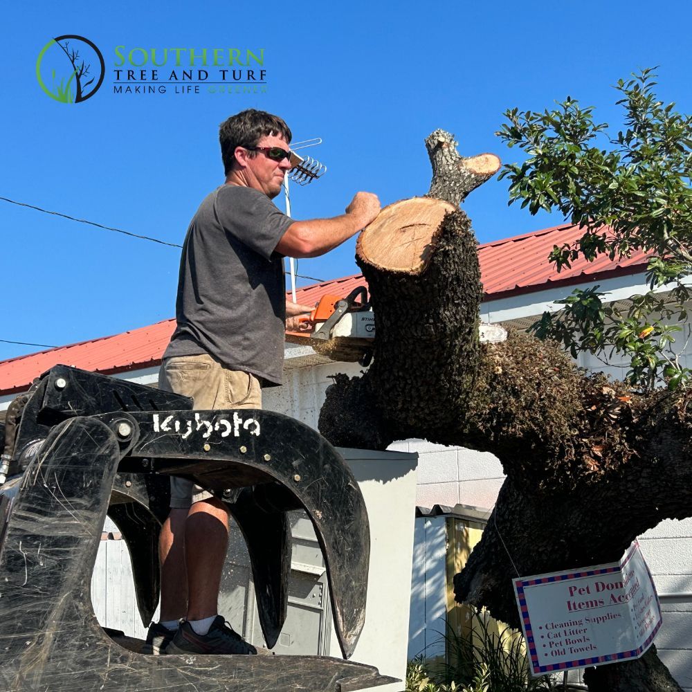 Southern Tree and Turf - tree service in Long Beach, MS