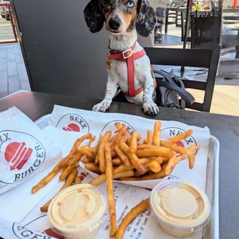 Nexx Burger - What about me?! - Burgers Near Me - Downey, California Nexx Burger - What about me?! - Burgers Near Me - Downey, California