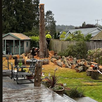 Lincoln Logging Tree Care - The job almost finished! - Tree Services Near Me - Orting, Washington