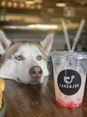 Cake and Joe by null