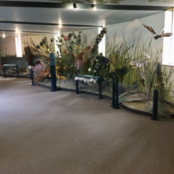 Kalamazoo Nature Center - Marshland display - Museums Near Me - Kalamazoo, Michigan Kalamazoo Nature Center - Marshland display - Museums Near Me - Kalamazoo, Michigan
