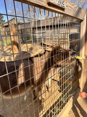Avila Valley Barn by null