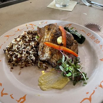 Ulele - Grouper entree - New American Near Me - Tampa, Florida