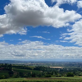 Domaine Drouhin Oregon - Wine Tasting Room Near Me - Dayton, Oregon