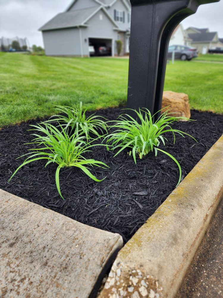 TOM B LANDSCAPE AND DESIGN 14 Photos Youngstown, Ohio Landscaping