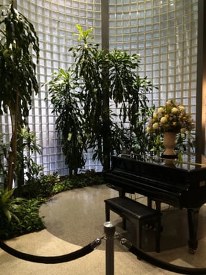 Hackensack Meridian Mountainside Medical Center by null