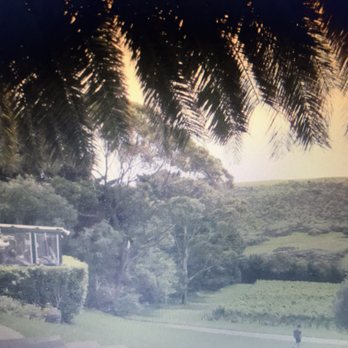 Stonyridge Vineyard - Wineries Near Me - Waiheke Island, AUK Stonyridge Vineyard - Wineries Near Me - Waiheke Island, AUK