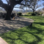 BELTANE RANCH - 196 Photos & 88 Reviews - 11775 Sonoma Hwy, Sonoma ...