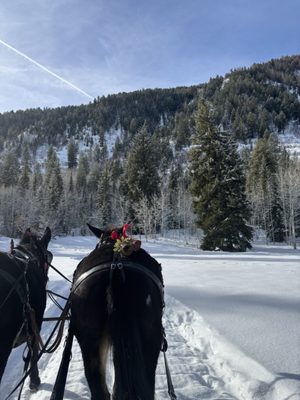 Aspen Carriage and Sleigh
