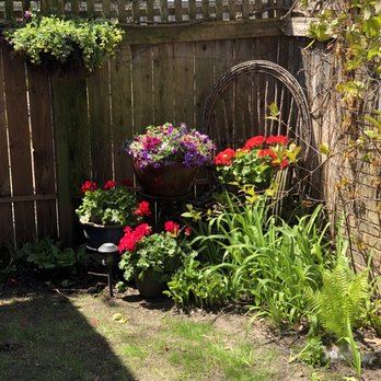 Windy City Garden Center - Thanks - Nurseries & Gardening Near Me - Evanston, Illinois