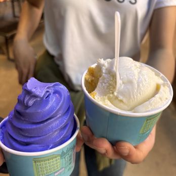 Soft Swerve - Ube (Purple Yam) Cup - A person presents two cups of soft serve ice cream, one with purple ice cream and the other with vanilla, in a casual environment. - Ice Cream & Frozen Yogurt Near Me - Brooklyn, New York