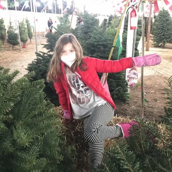Todd's Christmas Trees - Great tree selection in all sizes. They also have flocked trees. - Christmas Trees Near Me - Long Beach, California