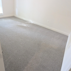 Carpet Cleaning Solutions