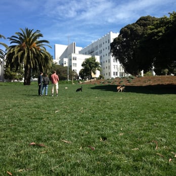 Jefferson Square Park - Open dog area - Dog Parks Near Me - San Francisco, California Jefferson Square Park - Open dog area - Dog Parks Near Me - San Francisco, California