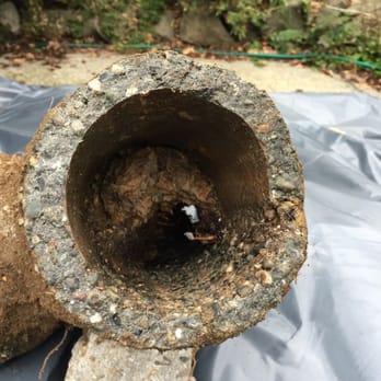 South West - Root - Plumbing Near Me - Seattle, Washington