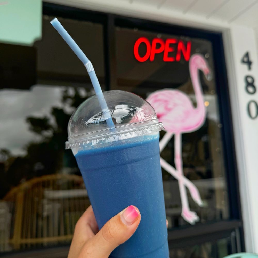 Bella Vida - Hammerhead - Juice Bars & Smoothies Near Me - Boca Grande, Florida Bella Vida - Hammerhead - Juice Bars & Smoothies Near Me - Boca Grande, Florida