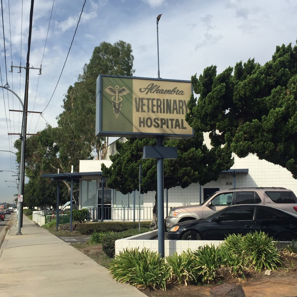 CHRISTINE CARRILLO, DVM Updated September 2024 1501 W Mission Rd